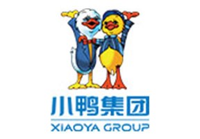 小鸭集团